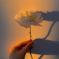 用户1041234899751头像