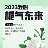 用户7708336094175头像