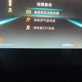 自在菠萝y4k头像