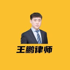 王鹏Lawyer头像