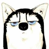 海上丝瓜猫头像