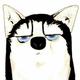 海上丝瓜猫头像