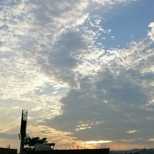 冬情520头像