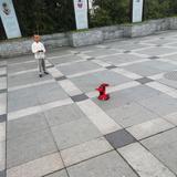涛头像