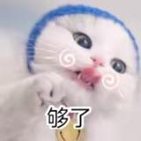 长不高的阿童木头像