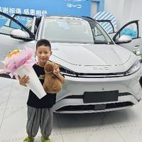 一只胖海狮头像