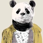 崔刚的个人资料头像