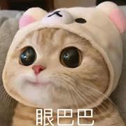 超超DDUP的个人资料头像