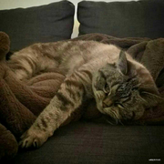 Carlo0099的个人资料头像