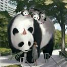 Chen泽林的个人资料头像