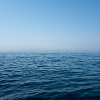 知情达理人在旅途头像