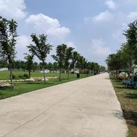 🥴我不管！我要吃饭头像