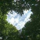 木心就是我的个人资料头像