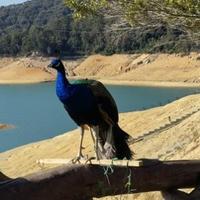 zh珠珠侠007头像