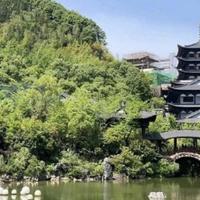 率真葡萄pOV头像