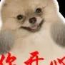 多彩书签Kw头像