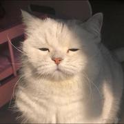 玄穸的个人资料头像