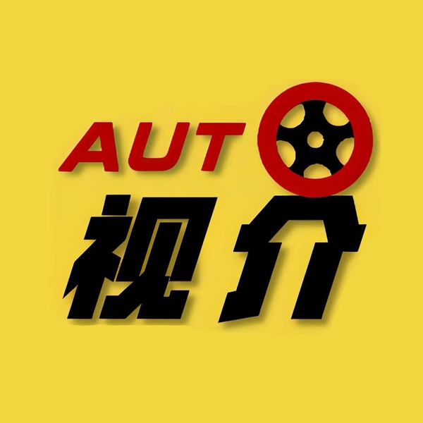 视界auto头像