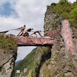没得票票头像
