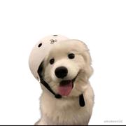 徐思瑜的个人资料头像