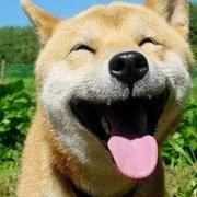 Twh的个人资料头像