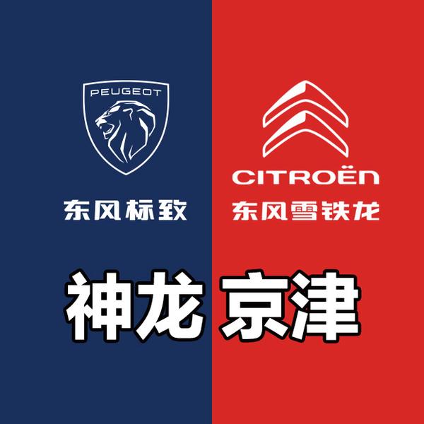 神龙京津标致雪铁龙头像