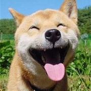 zhanxuewei的个人资料头像