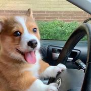 我存在的痕迹的个人资料头像