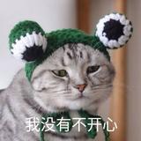 呼啦秀得头像