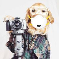 天然芒果味i头像