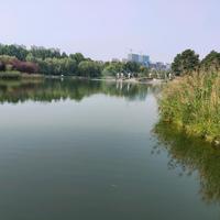 越来越好286488516头像