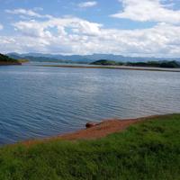 沉着熊猫OJ头像