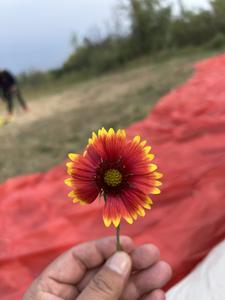 洛阳通河熟食凉菜小海鲜水果蔬菜批发店头像