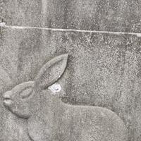 风趣枫叶3Y0头像