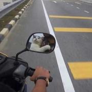 EW的个人资料头像