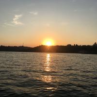 开心De毛豆头像