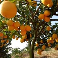 平步青云140头像