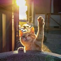 牧䍩人头像