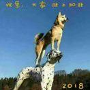 李志勇的个人资料头像