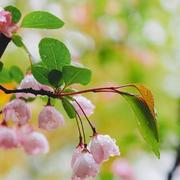 linnna的个人资料头像