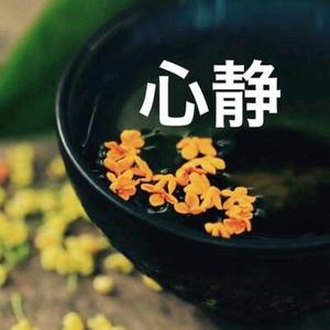 聊一下怎么了吗头像