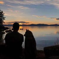 用户1255802861139头像