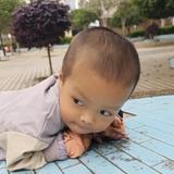 聪颖饺子Ni头像