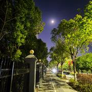 晓月清岚的个人资料头像