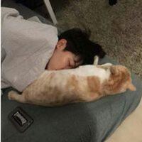 数你228头像