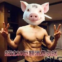 考了D照ingᥬ头像