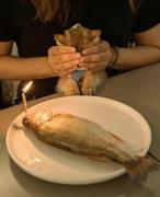 拾叁圆的个人资料头像