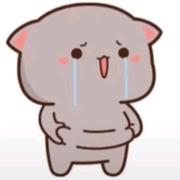 小鱼儿652的个人资料头像