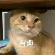付云的个人资料头像