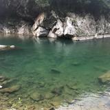 小鱼头像